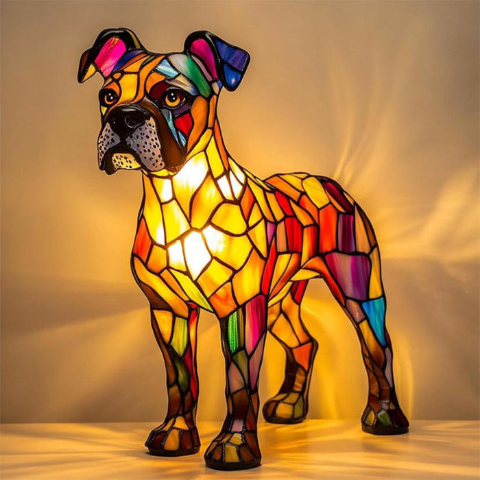 Boxer Splendide